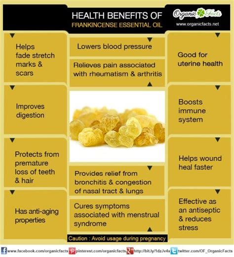 aspero oil|Frankincense Essential Oil: Health Benefits, Dosage,。